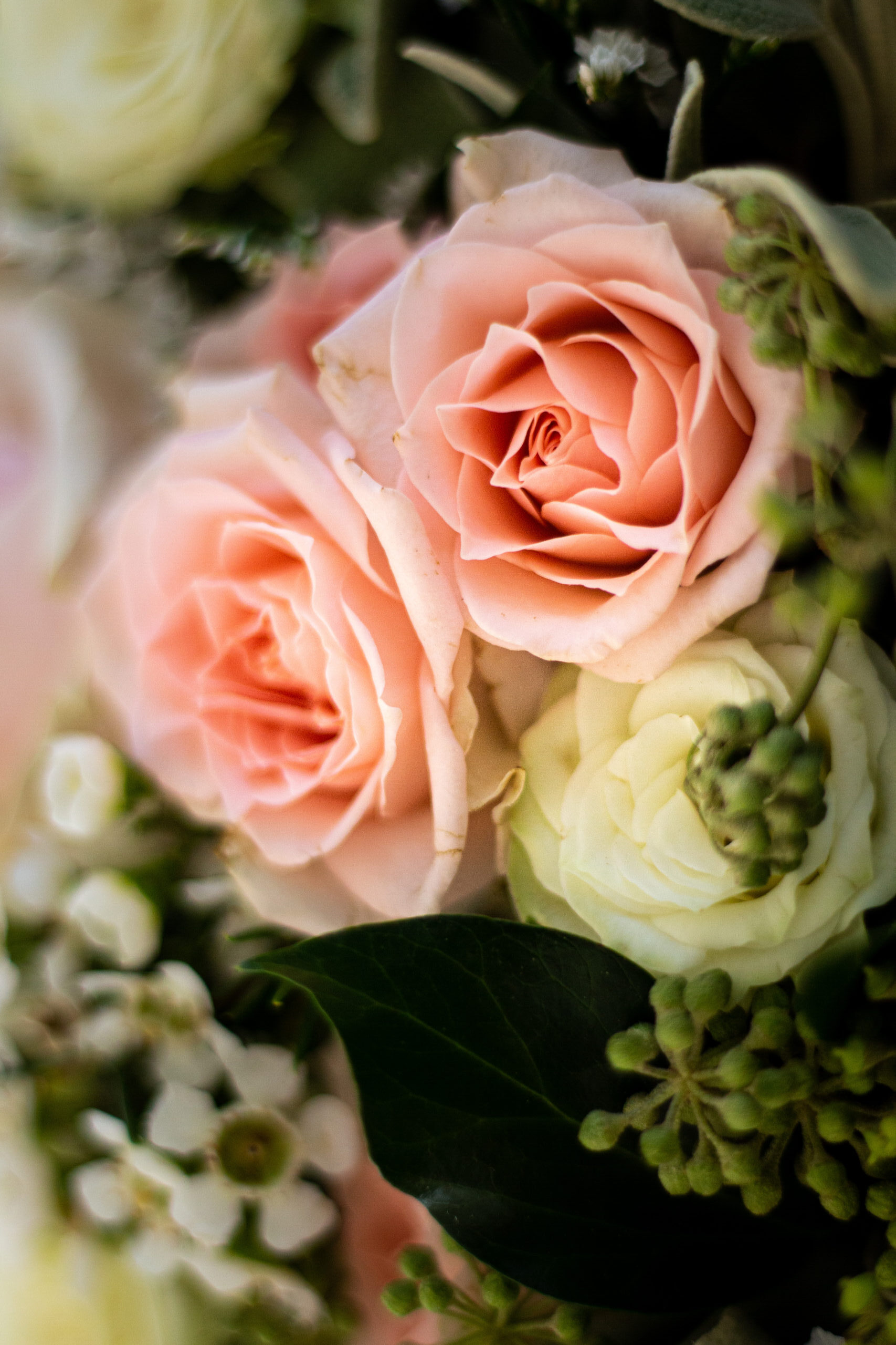 sheleen photographe bordeaux bergerac portrait grossesse pregnancy shot mariage wedding boudoir corporate family