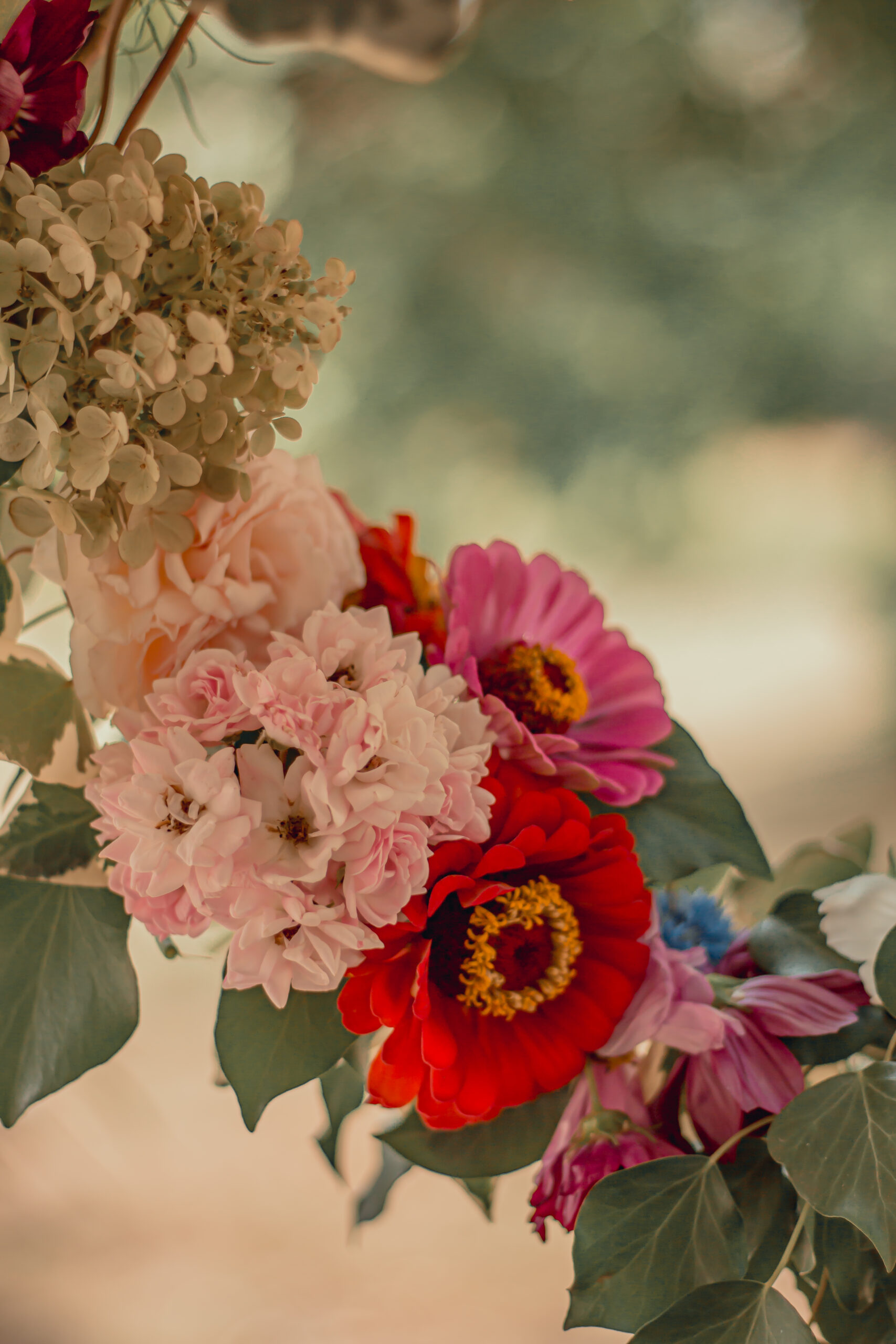 sheleen photographe bordeaux bergerac portrait grossesse pregnancy shot mariage wedding boudoir corporate family